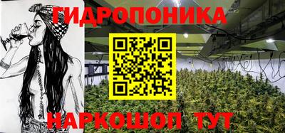 мдма Бердск
