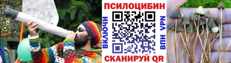 Псилоцибиновые грибы Psilocybine cubensis Верхняя Пышма