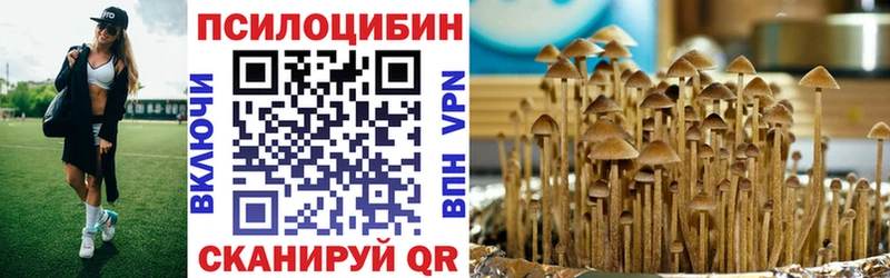 Галлюциногенные грибы GOLDEN TEACHER  где купить наркоту  darknet состав  Верхняя Пышма  мега ТОР 