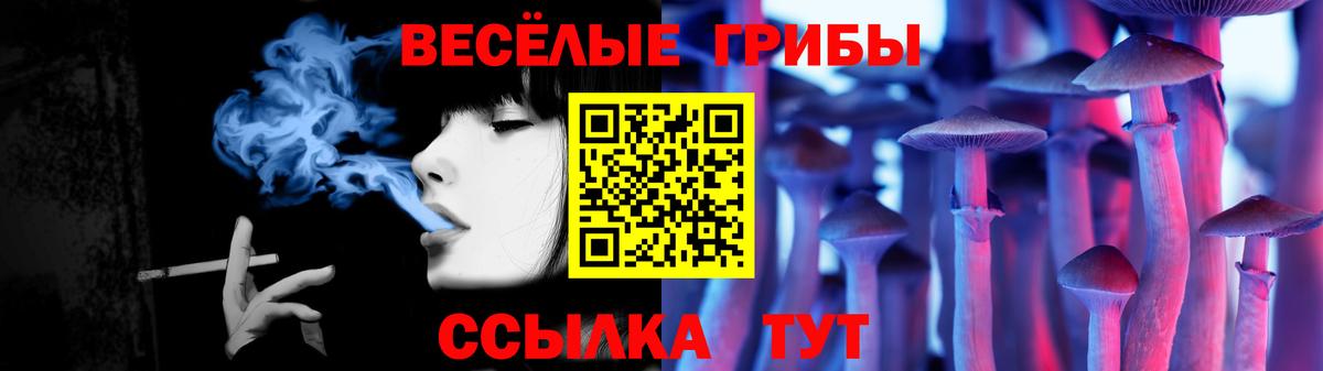 Псилоцибиновые грибы Magic Shrooms Верхняя Пышма